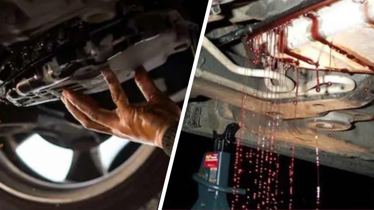 Transmission Fluid Leaks Explained Causes, Symptoms, Diagnosis, and Fixes
