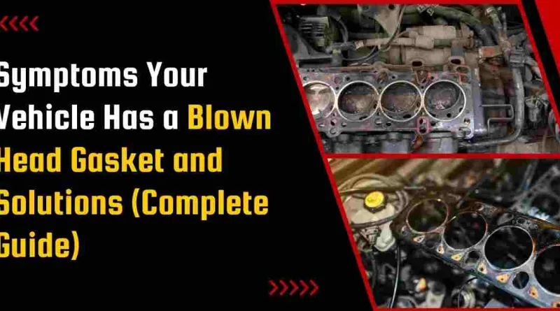 Symptoms Your Vehicle Has a Blown Head Gasket and Solutions (Complete Guide)
