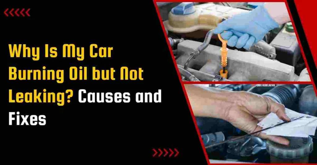 Why Is My Car Burning Oil but Not Leaking? Causes and Fixes